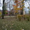 IMG_20181101_135806.jpg