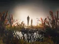 post_big/The-Last-of-Us-Intro.jpg