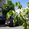 20180625_100220.jpg