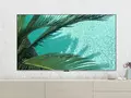 post_big/Q20_1St_Ocean_Palm-Tree-Image-scaled.jpg