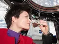 post_big/iss043e306209-980x420.jpg