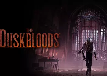 FromSoftware приглашает владельцев Nintendo Switch 2 на публичное тестирование экспериментального PvPvE-экшена The Duskbloods