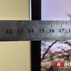 Сумма технологий, превосходящая ожидания: обзор 65-дюймового OLED-телевизора Samsung S95F-19