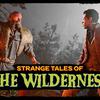 The disappearance of a scientist in Toll Trees.