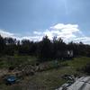 IMG_20170501_155706761.jpg