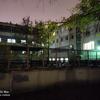 P81031-182910.jpg