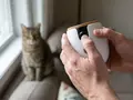 post_big2/best-indoor-pet-camera-1-1.webp