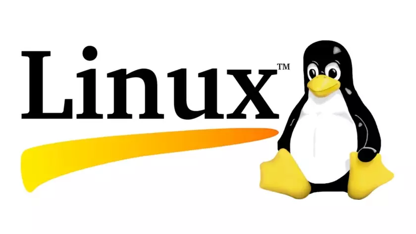 История логотипа Linux: как появлялся имидж Tux