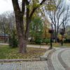 IMG_20181101_135715.jpg
