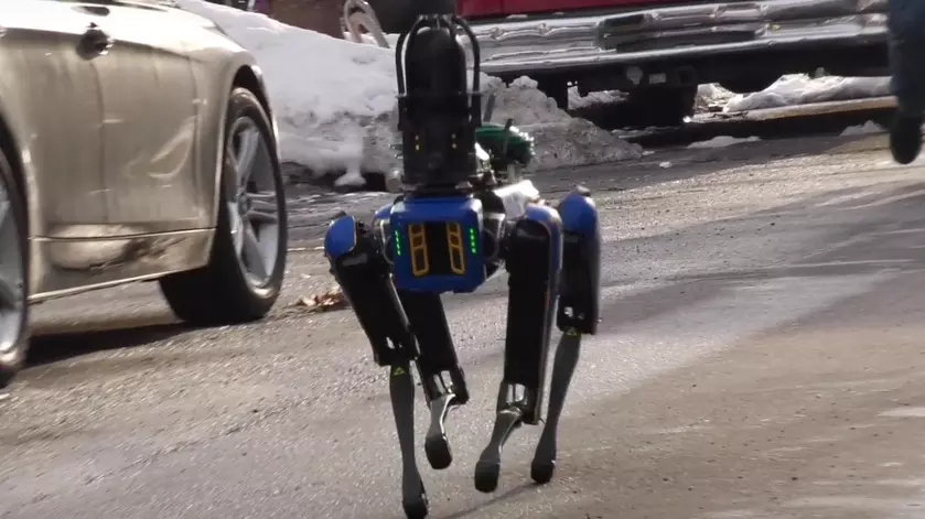 Робота-пса Boston Dynamics уволили из полиции Нью-Йорка из-за разжигания споров о расизме и слежке