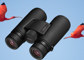 Best Compact Binoculars for Birding