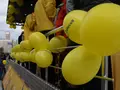 lifecell закончил роуд-шоу по Украине на Крещатике