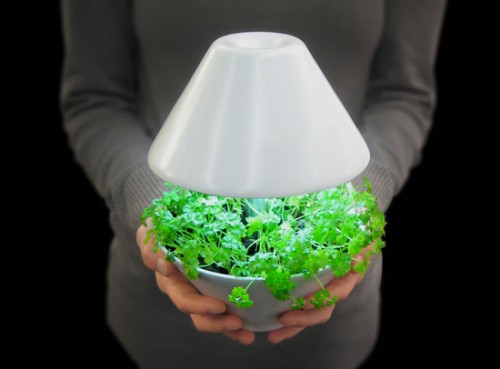 lamp02.jpg