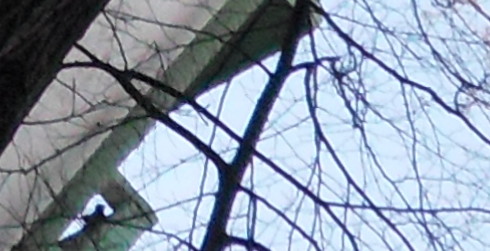 lens_ca.jpg