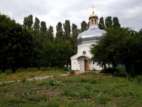 picture_03_small.jpg