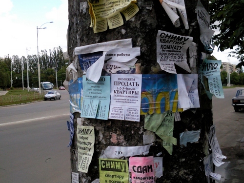 picture_07_small.jpg