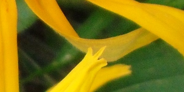 sample_02_crop.jpg