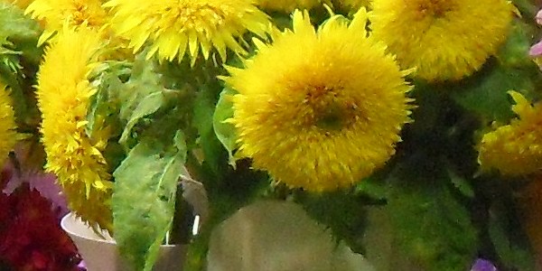 sample_03_crop_0.jpg