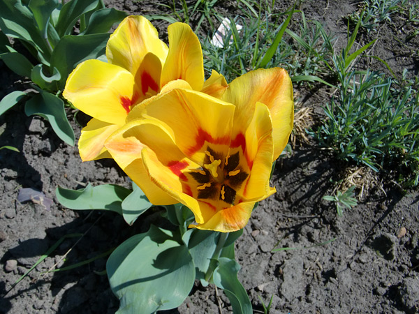 sample_02.jpg