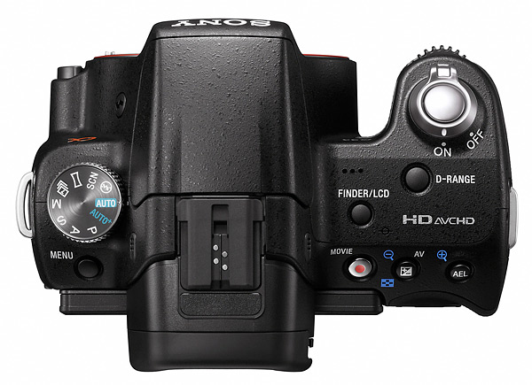 sony_a55_top.jpg