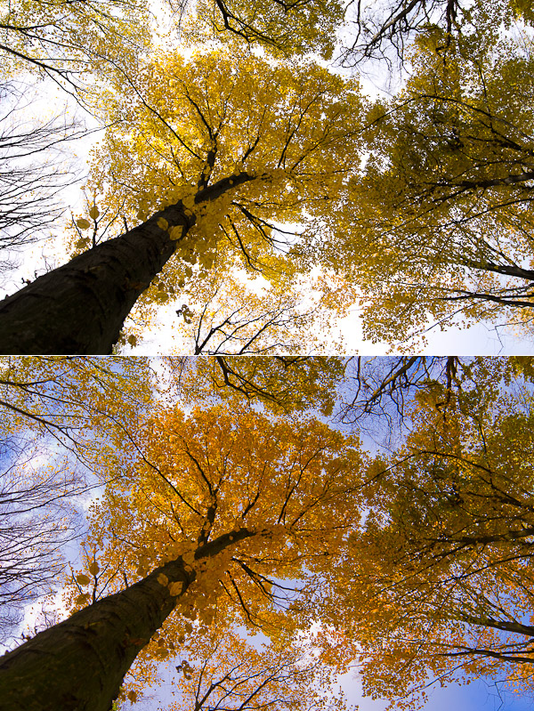 sony_a33_dr.jpg