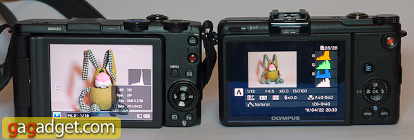 ex1_xz1_back.jpg