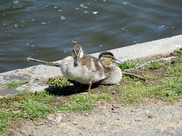 IMG_0073.jpg