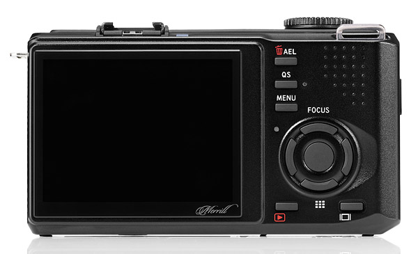 DP1m-02.jpg