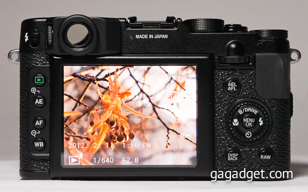 Fujifilm_x10-2.jpg