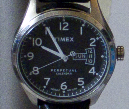 IMGP9923.jpg