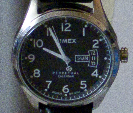 IMGP9924.jpg