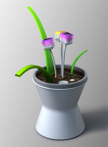 Plant2.jpg