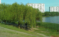 Опоздавший к обеду: обзор Sony Ericsson XPERIA X1-51 XPERIA_Shot17.jpg