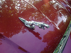 01062009051.jpg