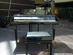 26062009088.jpg