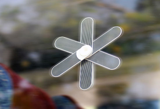 SunnyFlower3.jpg