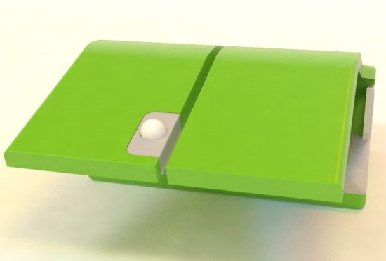 DematMouse3.jpg
