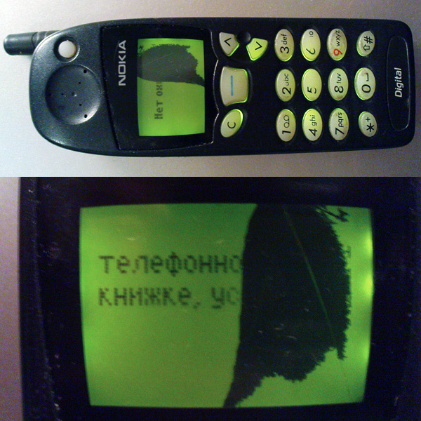 competitor11.jpg