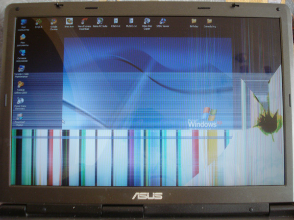 competitor12_2.jpg