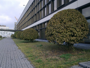 12102009013.jpg