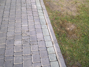 12102009014.jpg