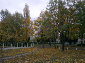 17102009034.jpg