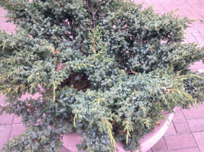 17102009045.jpg