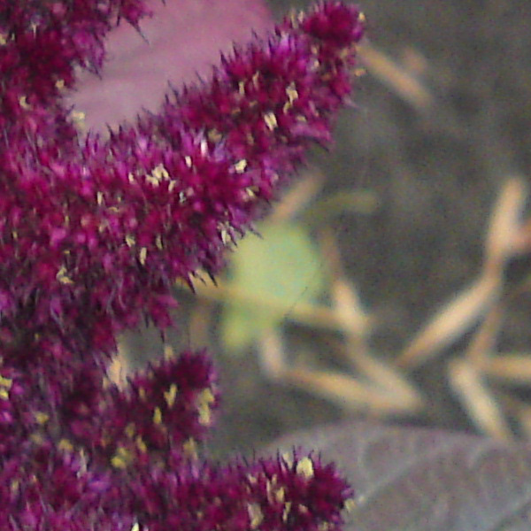 18102009019_2.jpg