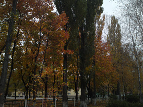 18102009030.jpg