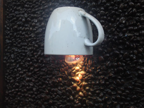 22102009143.jpg