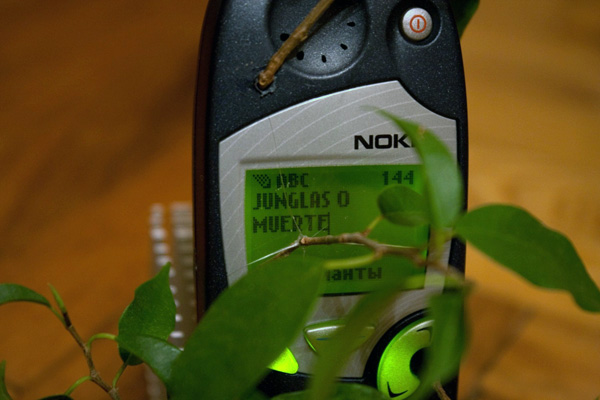 competitor42_6.jpg