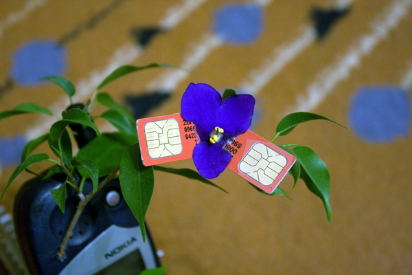 competitor42_8.jpg