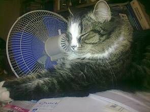 01122009019.jpg
