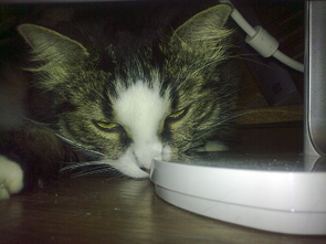 01122009032.jpg